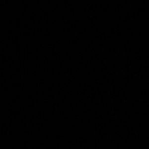 Meet your Posher, Addison